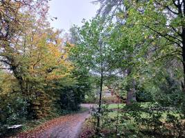 20251015_155901_original