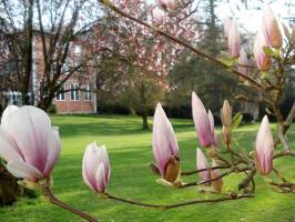 54515506_1354246344713384_3207338562831777792_n_original