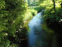 Screenshot_2023-07-10_at_10-24-11_Sr._M._Andrea_Walterbach_sr_m_andrea_o_Instagram-Fotos_und_-Videos_original