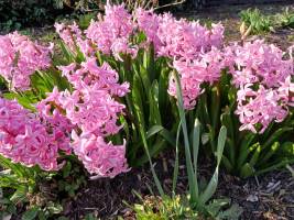 20260322_162401_original