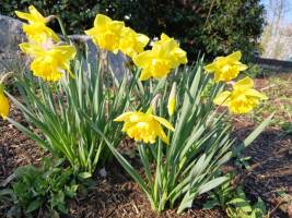 20260322_162425_original