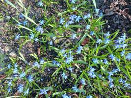 20260322_162450_original