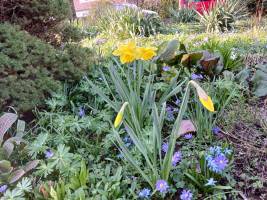 20260322_162609_original