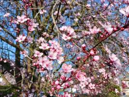 20260322_162703_original