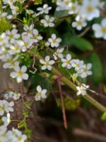 20260322_162911_original