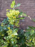 20260322_162945_original