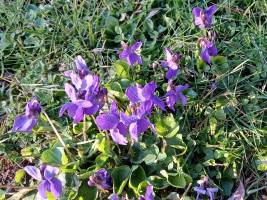 20260322_163147_original