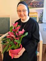 Sr._M._Gemma_2026_7_original