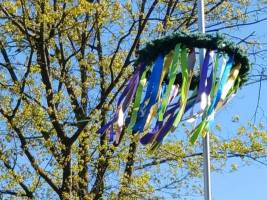 Maibaum_2_original