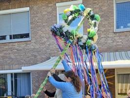 Maibaum_3_original