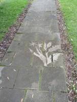 Graffiti_14_original