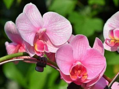 csm_13._April_63bae119f1_original